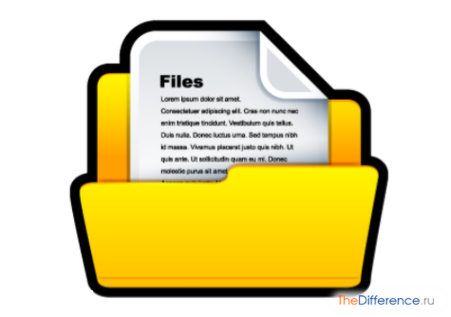 Чим відрізняється файл від каталогу