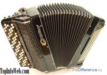 Jak usunąć zapach moczu z kanapy?