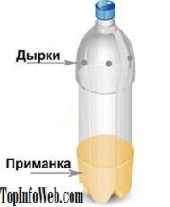 Як позбутися від ос на дачі
