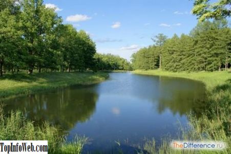 Чим відрізняється екосистема від біосфери