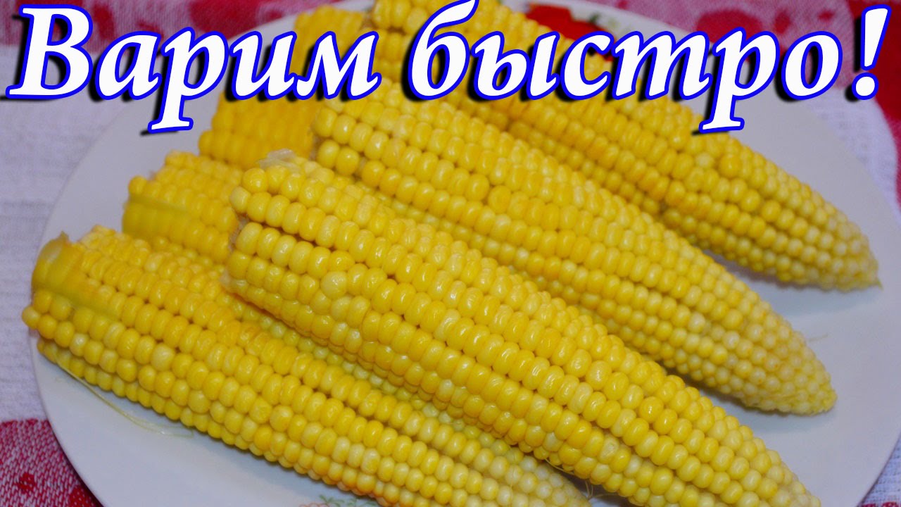 Jak vařit kukuřici?